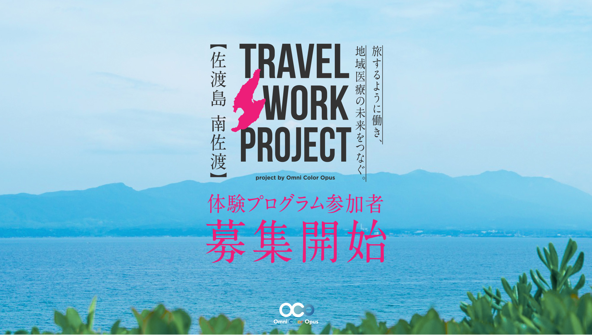 TRAVEL WORK PROJECT