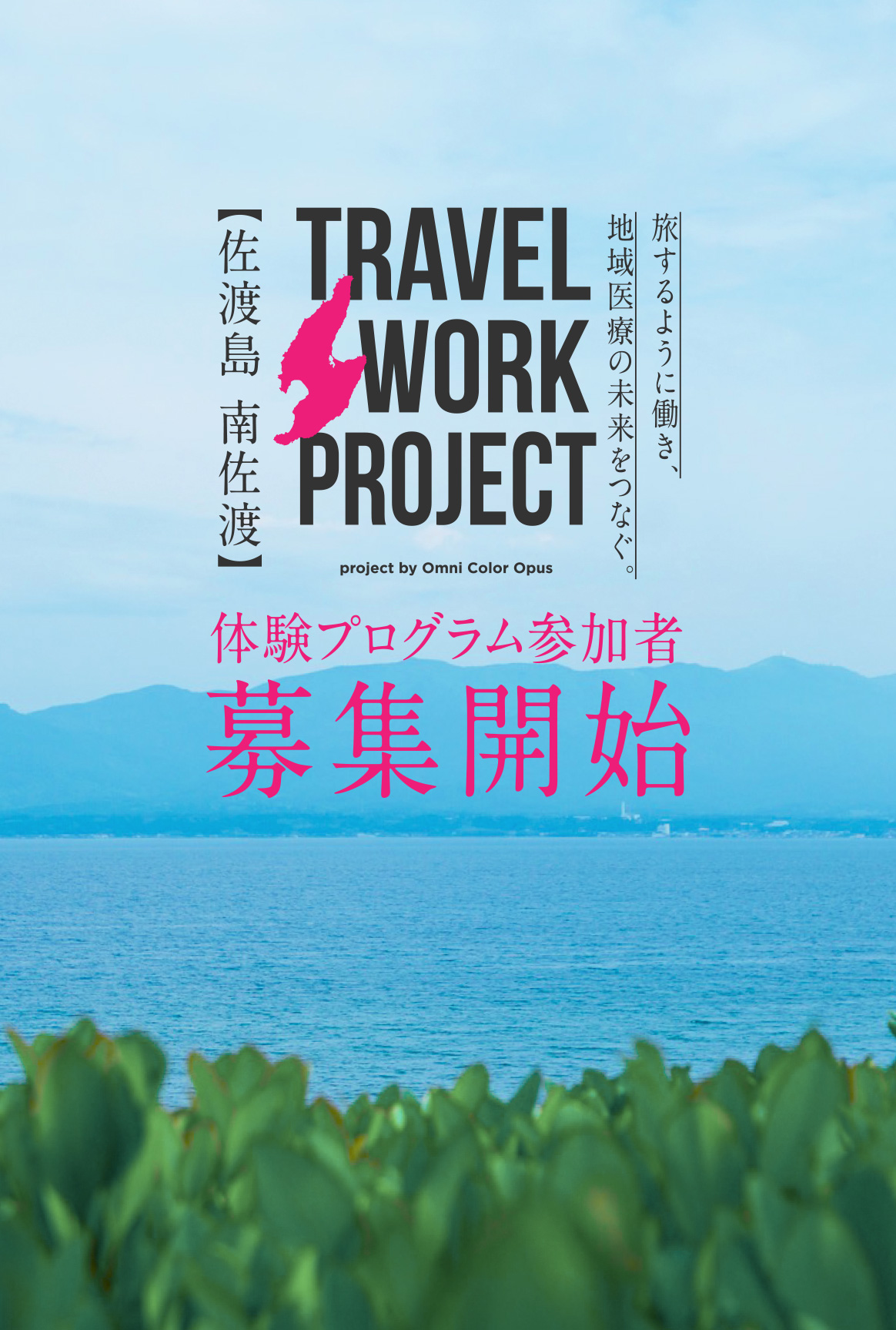 TRAVEL WORK PROJECT